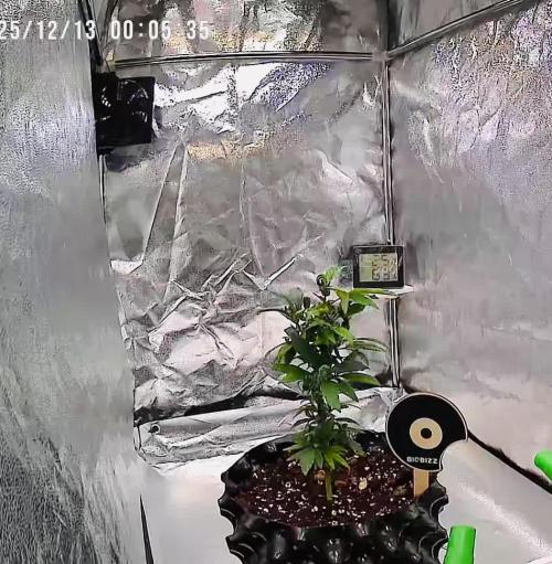 Monstercropping 1.1