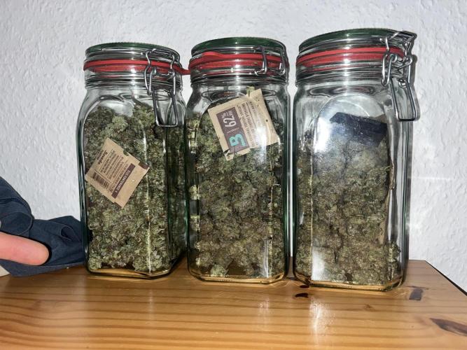 Monster Cropping 1.0. Week 17