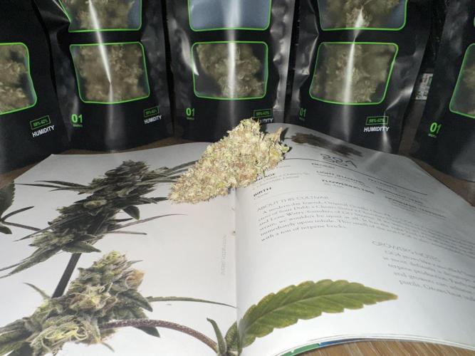 Fast Buds Mix Pack FF Outdoor. Week 21