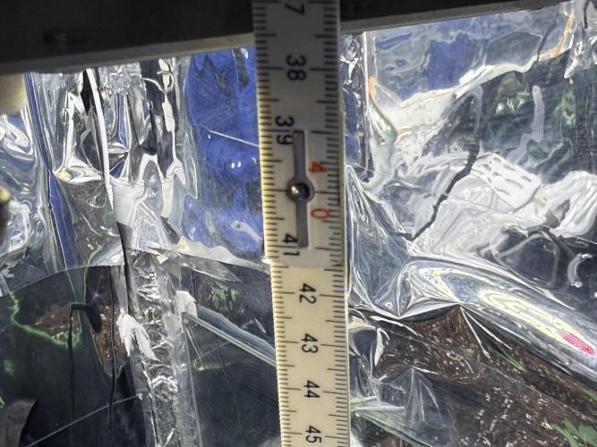 Calypso Sunrocks. Week 3