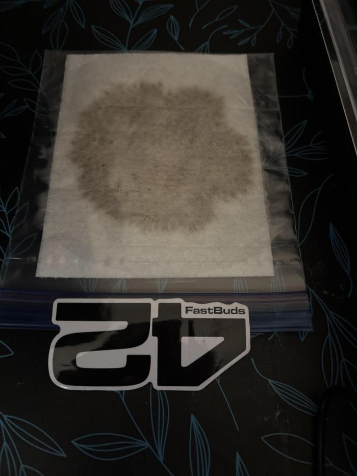 First Autos. Week 0 - Germinating, paper towel on the seedling mat. Touch of Compost tea