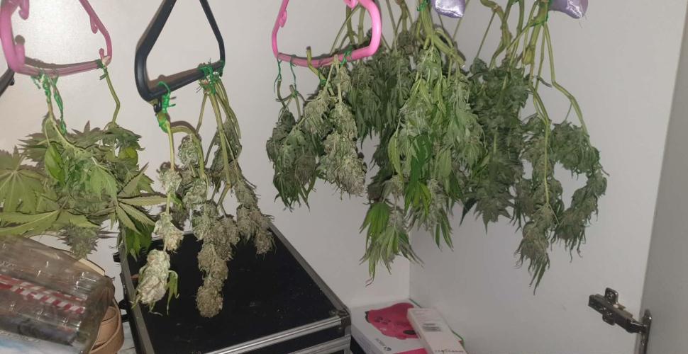 +speed auto. Week 12
