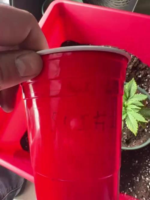 Silver Nevil Jones & Enfield GreenStreet