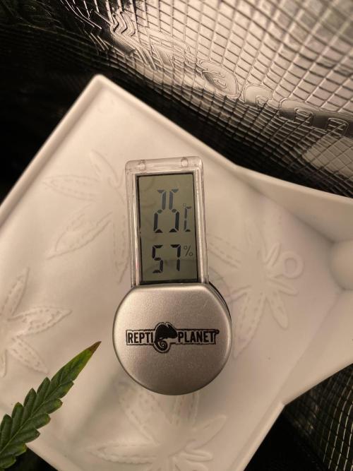 First but not last. Week 5