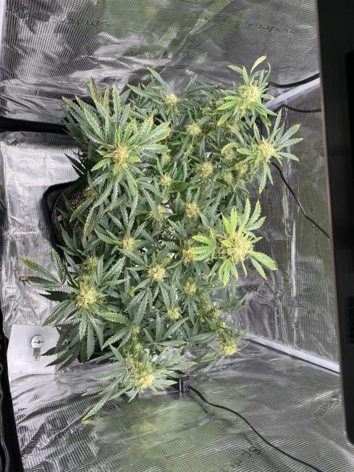 First but not last. Week 6