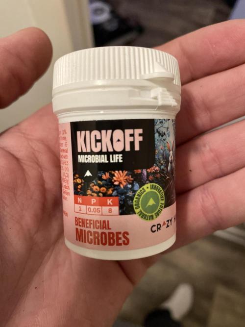 Only water on my wedding. Week 0