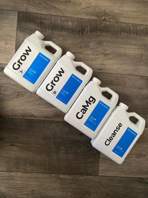 Clone run. Week 3