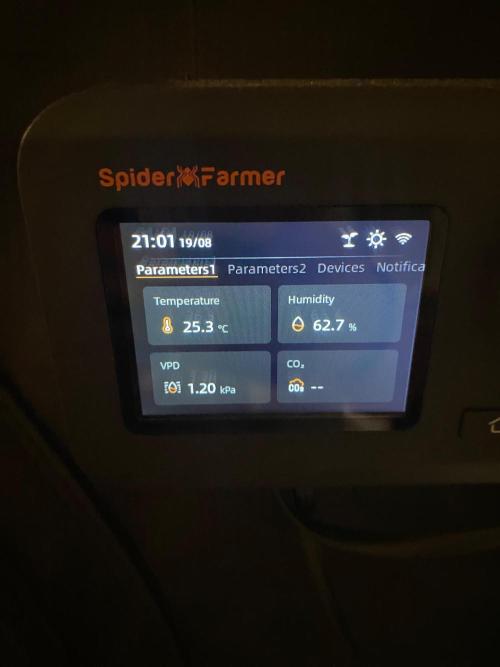 Clone run. Week 4