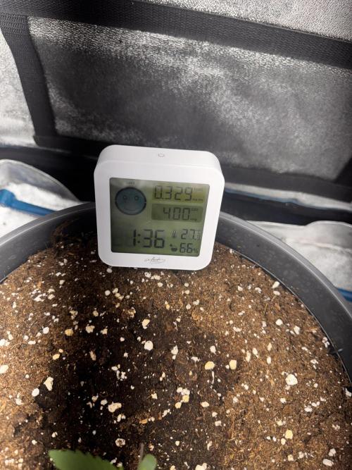 Kleine Leonie. Week 0 - Day One 