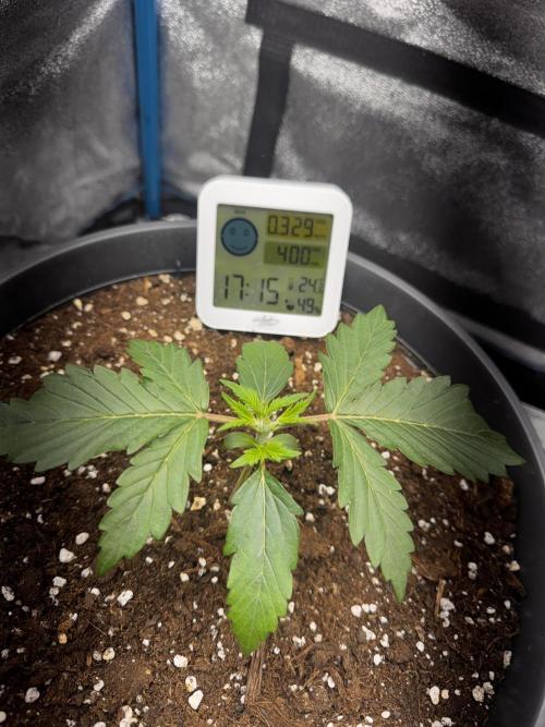 Kleine Leonie. Week 1