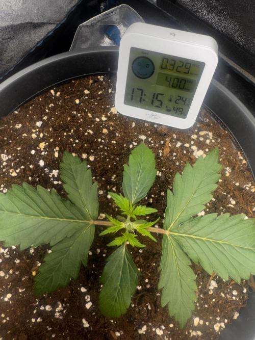 Kleine Leonie. Week 1