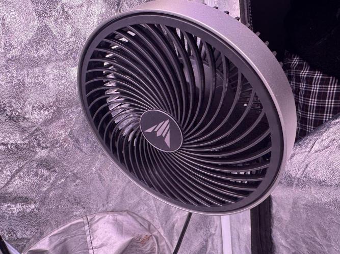 Kleine Leonie. Week 3