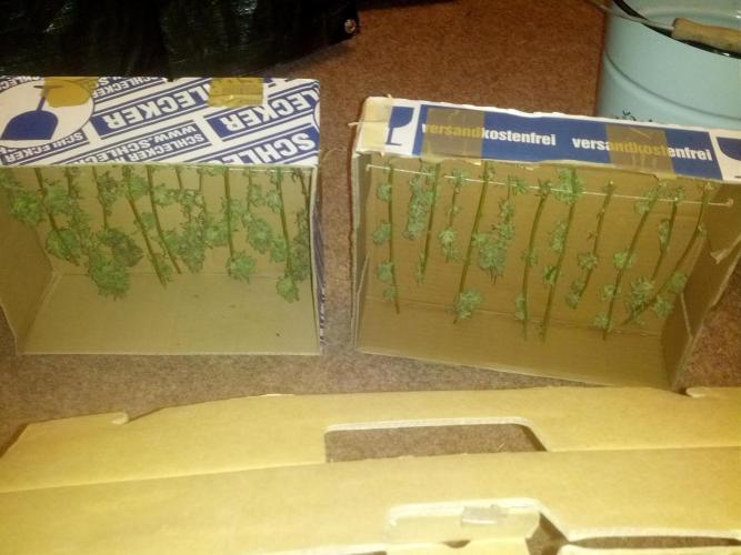 GUERILLA | Purple Haze. Week 28 - Bud 03