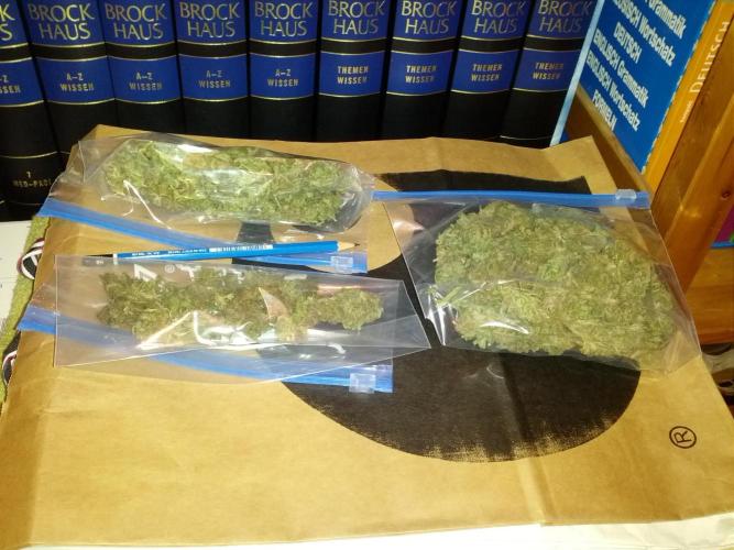 GUERILLA | Purple Haze. Week 28 - Done