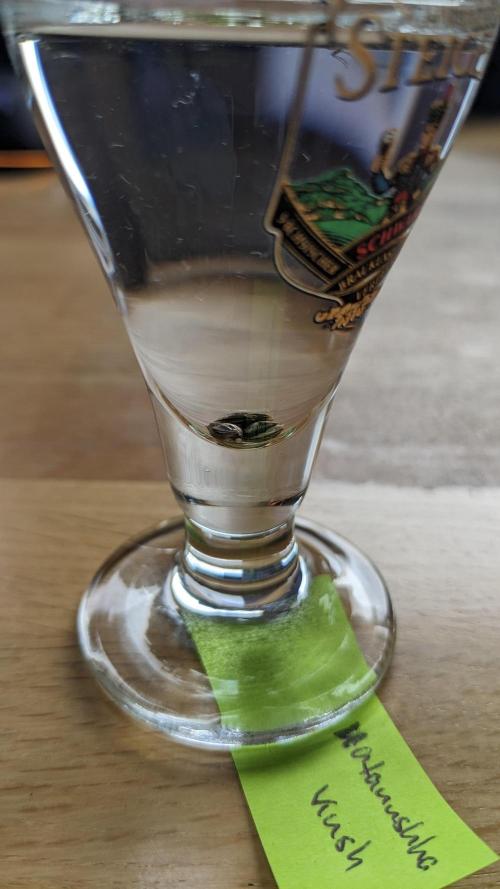 WINDOWSILL | Matanuska. Week 0