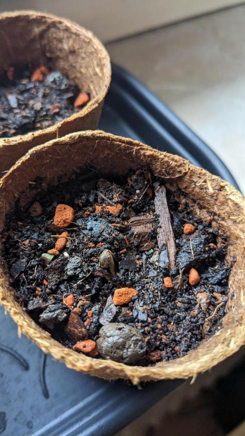 WINDOWSILL | Matanuska. Week 1 - 2