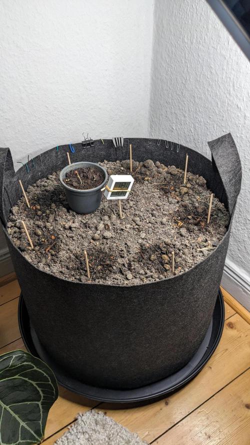 WINDOWSILL | LIVING SOIL | Northern Li.. Week 0