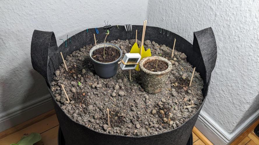 WINDOWSILL | LIVING SOIL | Northern Li.. Week 0
