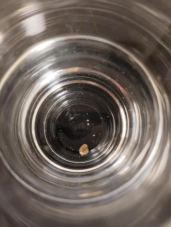 First indoor grow. Week 0