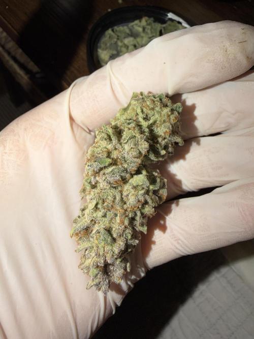 Original Cheese - FB. Week 11