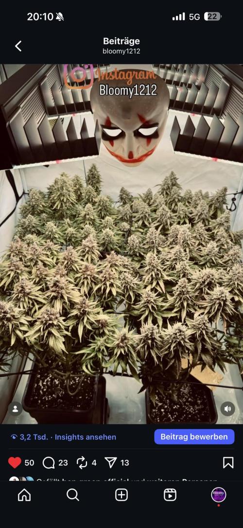 Instagram: Bloomy1212. Week 9 - Only Water Every 2 days