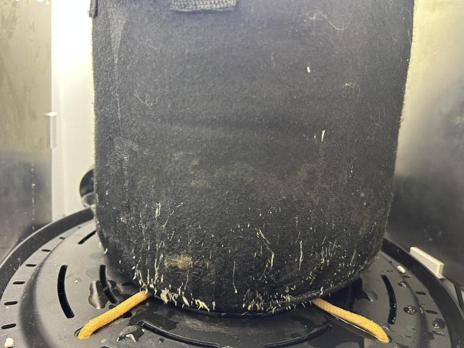 Random FastBuds seed. Week 5 - The roots really love theac infity self watering base.