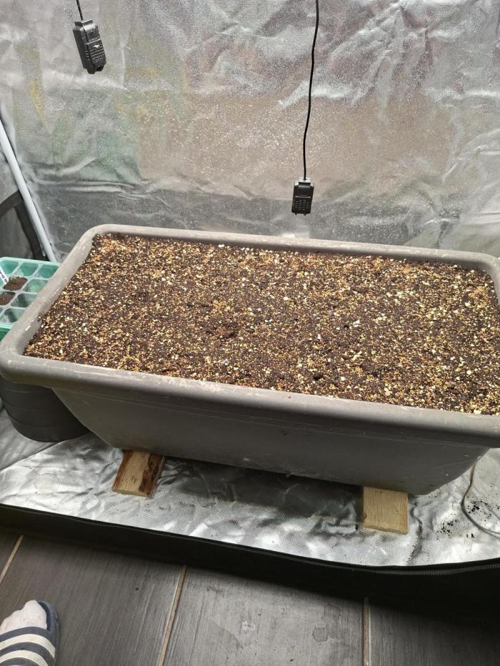 Livingsoil. Week 0