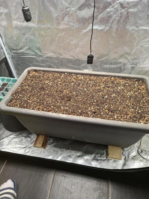 OG 340. Week 0