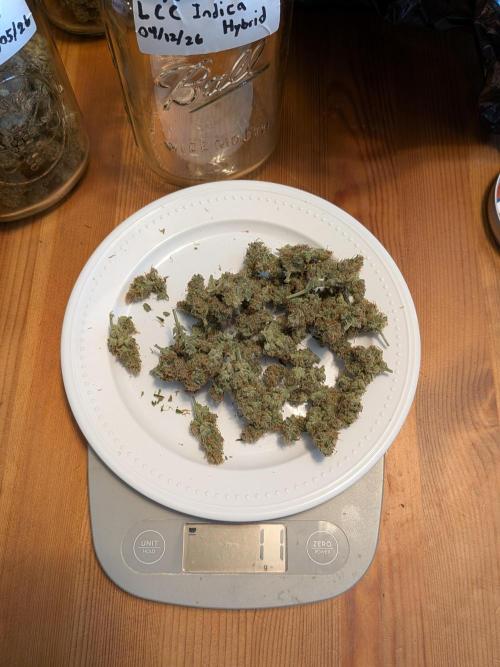A purple and fruity Fastbuds trio. Week 13