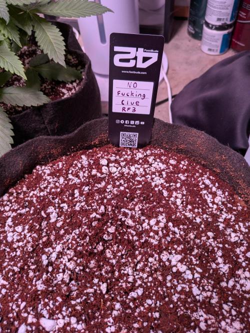 Attempting a staggered grow. Week 0