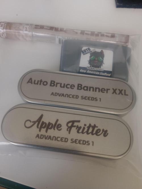 MYHomeGROWBOX. Week 0 - 13.12.25