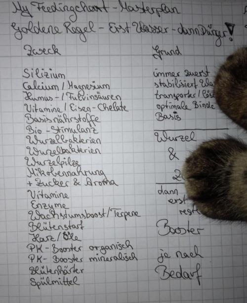 Titania aus eigenen Samen keine Automic. Week 7