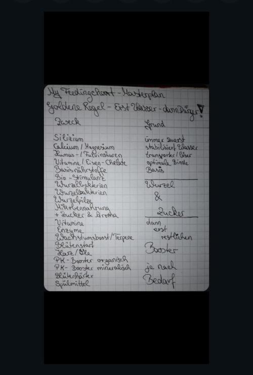 Titania aus eigenen Samen keine Automic. Week 7