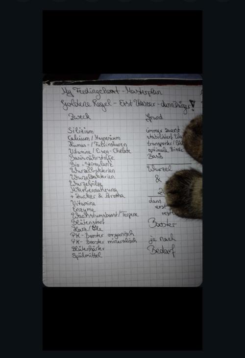 Titania aus eigenen Samen keine Automic. Week 7