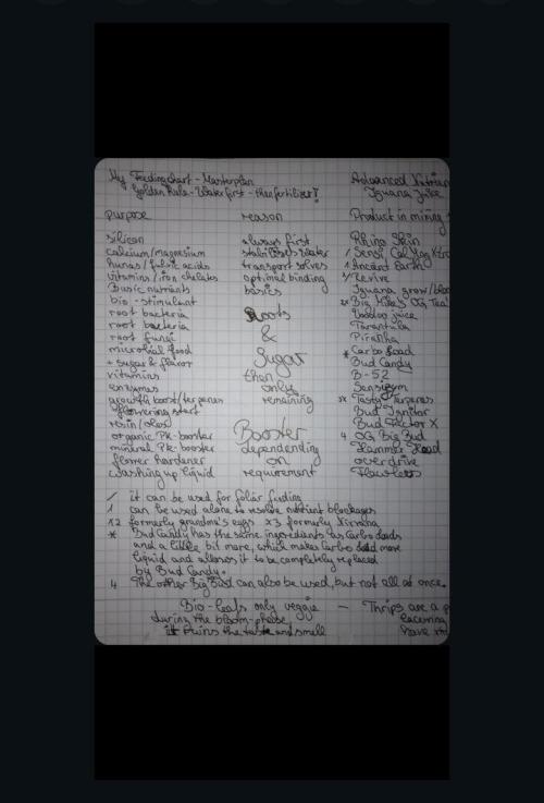 Titania aus eigenen Samen keine Automic. Week 7