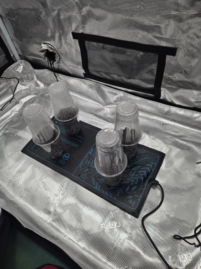 Inaugural grow 26. Week 0