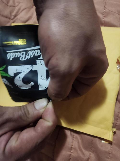 Daisy's Mystery Auto. Week 0