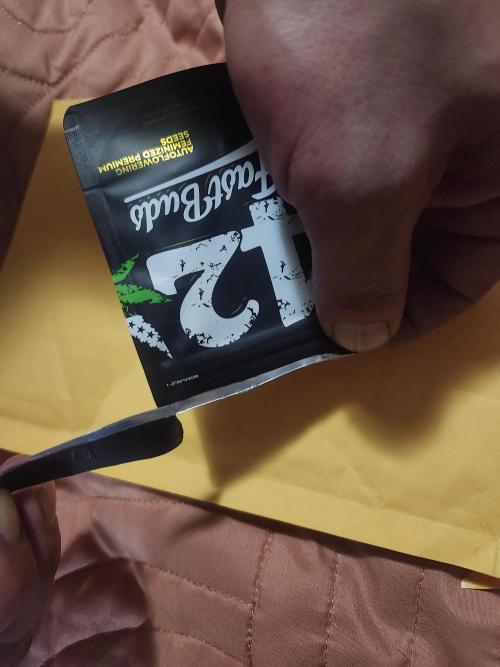 Daisy's Mystery Auto. Week 0