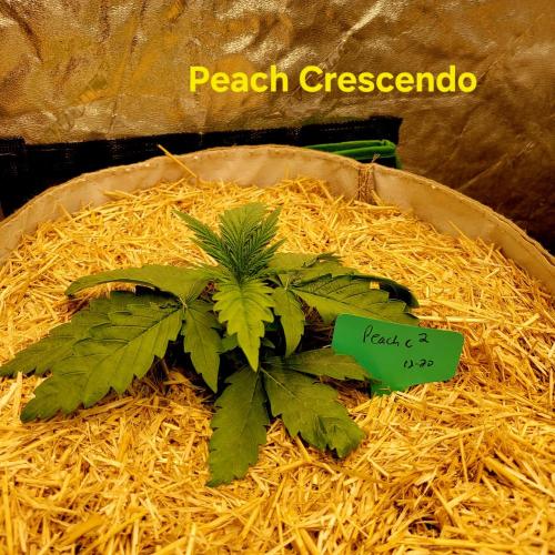 Winter 2025/2026. Week 2