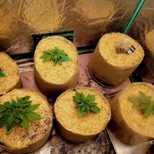 Winter 2025/2026. Week 2