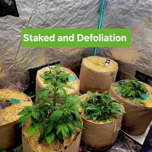 Winter 2025/2026. Week 3