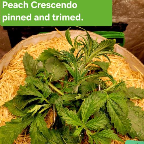 Winter 2025/2026. Week 3