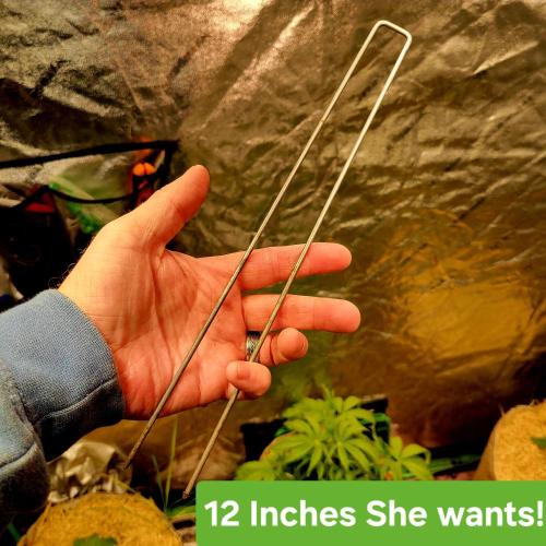 Winter 2025/2026. Week 4