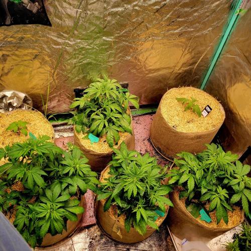 Winter 2025/2026. Week 4