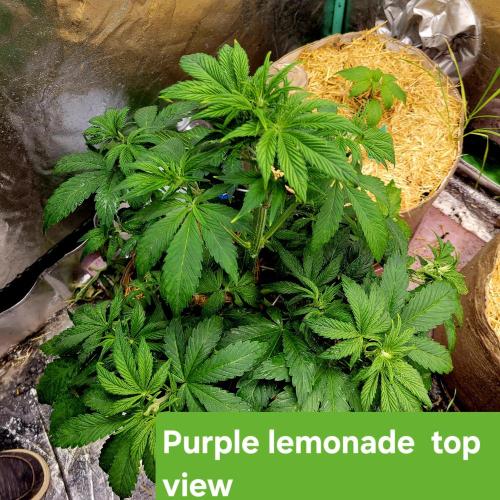 Winter 2025/2026. Week 4