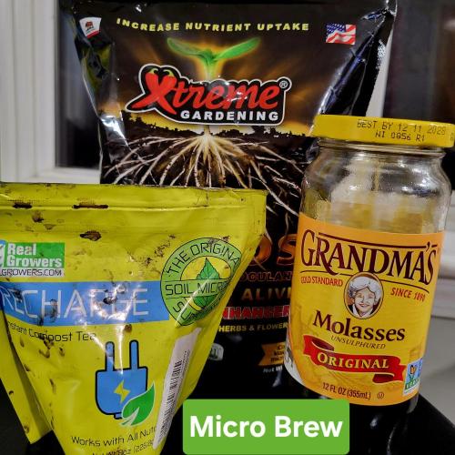 Winter 2025/2026. Week 4