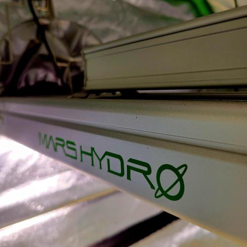 Backup plan.. Week 2