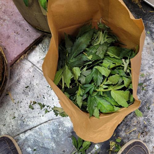 Winter 2025/2026. Week 5