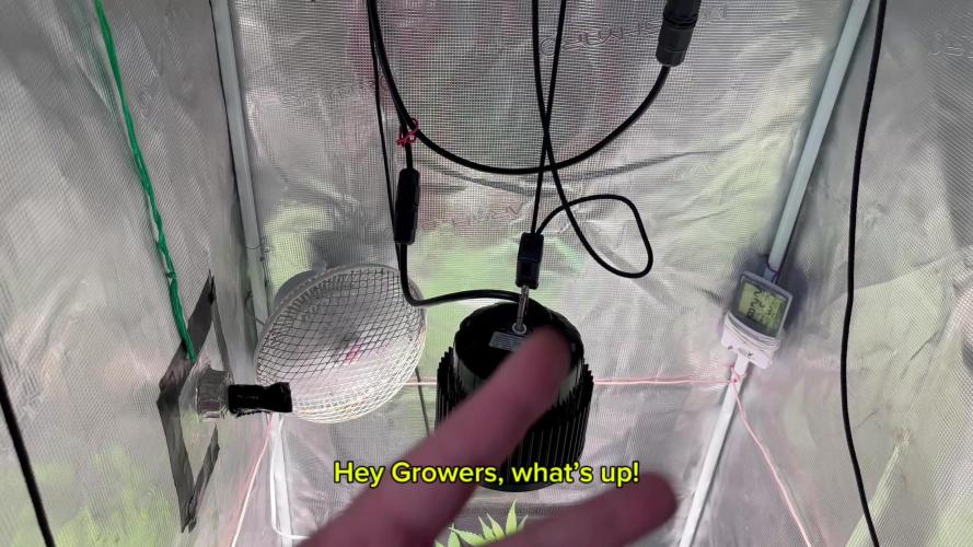 Pineapple Upside Down Cake Autopot