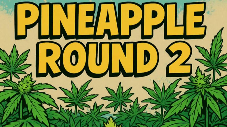 Pineapple Upside Down Cake Autopot